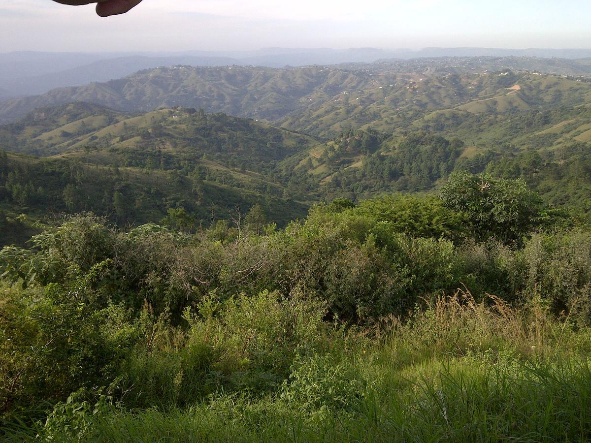 Villa Phezulu Safari Park Botha's Hill Exterior foto