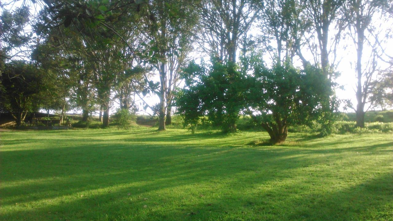 Villa Phezulu Safari Park Botha's Hill Exterior foto